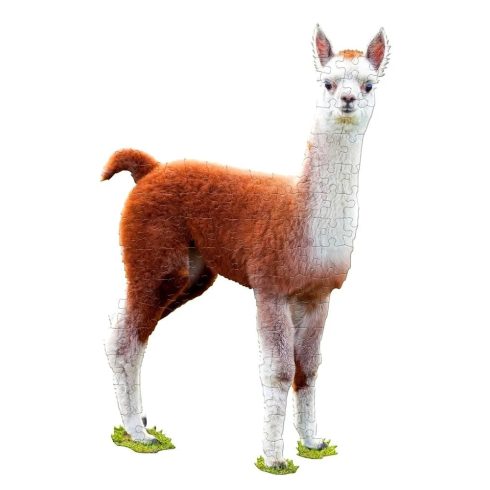 WOW Junior, 100 darabos Láma puzzle csomag, 00288