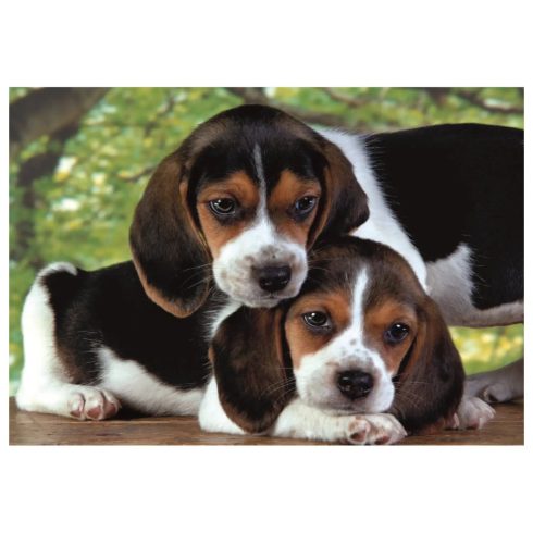 Clementoni puzzle 500 HQC cuki kiskutyák - 00538