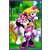 Trefl, 3 x 80 darabos puzzle, Disney, Minnie egér és barátai, 00724
