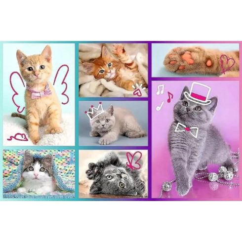 Trefl, 60 darabos puzzle, Aranyos Cicák, 03230