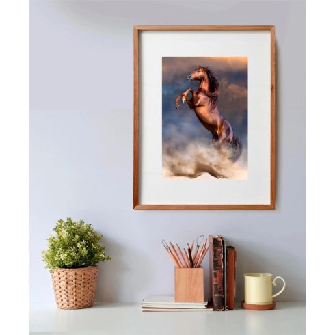 Clementoni 500 darabos HQC compact puzzle, Vad vörös mén, 03274