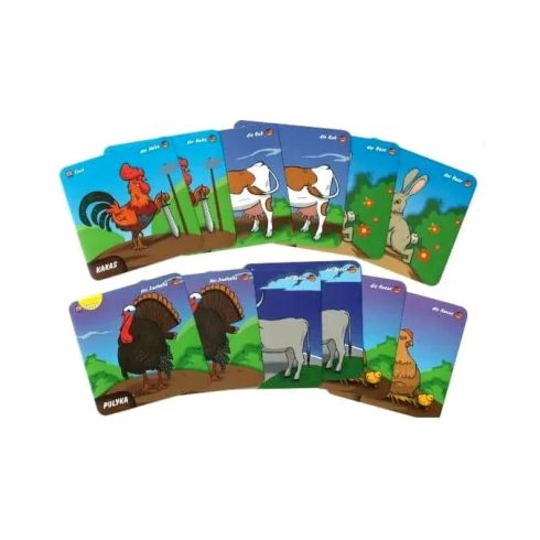 Kvíz, háziállataink memóriakártya csomag, 05902