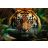 Trefl 1000 darabos puzzle csomag, Vad tigris, 07802