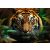 Trefl 1000 darabos puzzle csomag, Vad tigris, 07802