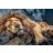 Trefl - 1000 darabos puzzle csomag - Alvó oroszlán - 07814