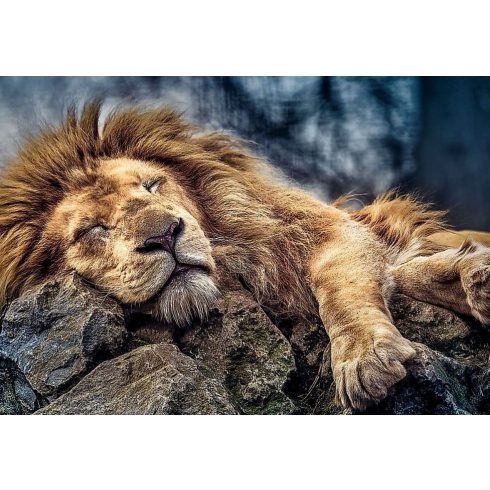 Trefl - 1000 darabos puzzle csomag - Alvó oroszlán - 07814
