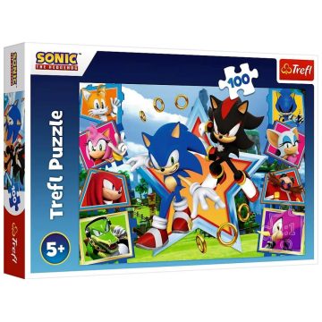   Trefl, Találkozás Sonic-kal, 100 darabos puzzle csomag,  07817