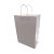 Papírtasak, egyszínű, 25 x 32 x 12 cm, 32645
