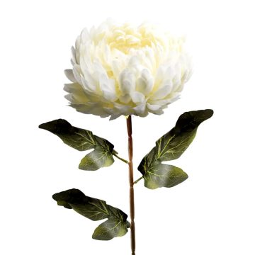 Fehér krizantém szál, 73 cm, 40962