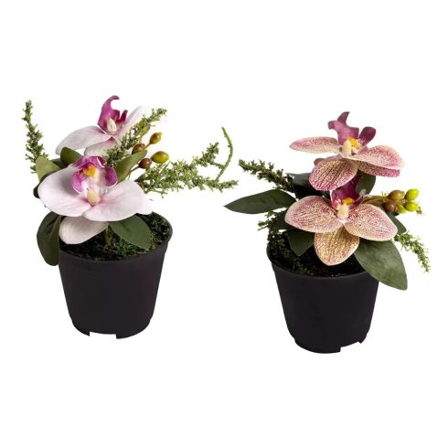 Orchidea cserépben 2 színben, 13 x 8 cm, 40972